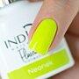 Neonek Gel Polish